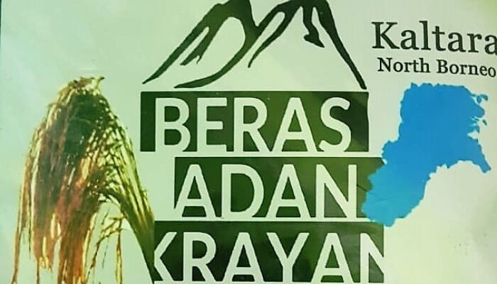 Masyarakat Hingga Raja Konsumen Setia Beras Adan