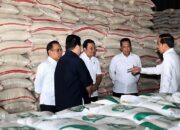 Jokowi Tinjau Ketersediaan Stok Beras di Gudang Bulog