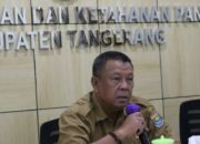 Ada 4.747 Hektare Lahan Masih Bisa Ditanami Padi