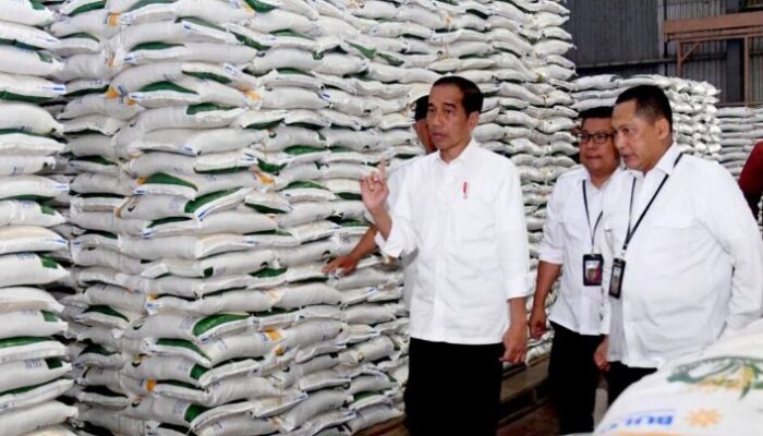 Presiden Jokowi: Cadangan Beras Harus Ada Meski Produksi Surplus