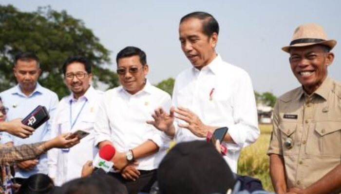 Presiden: Panen Raya Di Subang Diharapkan Tambah Cadangan Beras