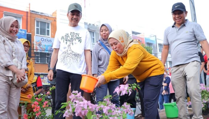 Palembang Warna-Warni, Bougenville Percantik Median Jalan LRT