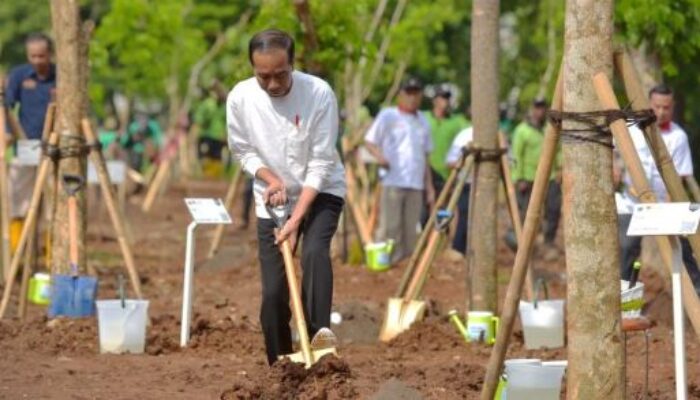 Presiden Jokowi Tanam Pohon Bersama di Pulo Gadung