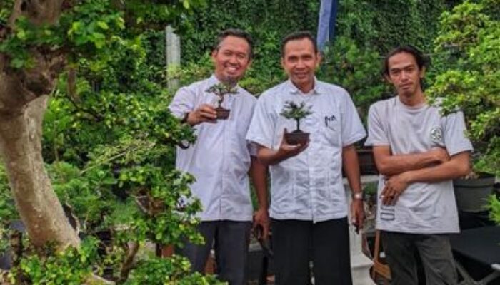 Segera Hadir, Bonsai Benteng Piala Wali Kota Tangerang