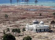 26 Desember Mengenang Tsunami Aceh,  Ini Sosok Perekam yang Videonya Viral ke Seluruh Dunia