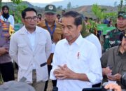 Jokowi Tegaskan Pentingnya Pemantauan Perkembangan Proyek di IKN