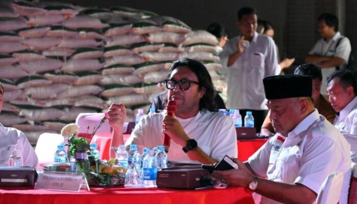 Ono Surono: Jangan Hanya Impor, Dorong Bulog Tingkatkan Diversifikasi Serapan Varietas Beras Lokal