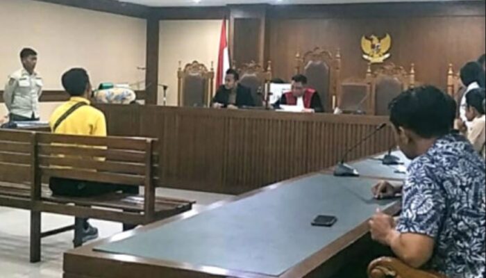 4 Kasus Penebangan Pohon Berhasil Diselesaikan Distamhut