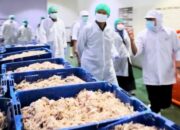 Limbah Pabrik Pengolahan Ikan di Indramayu, Bambang Hermanto Tindak Lanjuti Aduan Masyarakat