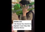 Video: Tak Lazim Ibu Hamil Ini Ngidam Cium Bau Ban Motor