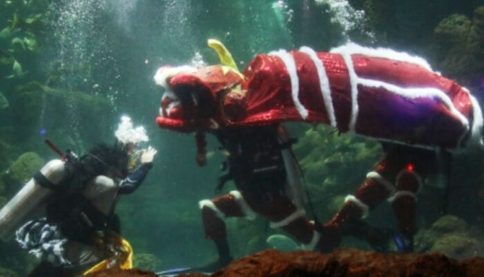 Ancol Lunar Festival 2024: Atraksi Unik Barongsai Underwater dan Kegembiraan Imlek