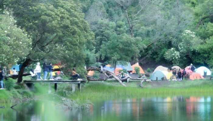 Bagi Pecinta Camping, Ini Pesona Ranu Regulo di Desa Ranupani Lumajang Yang Memikat Hati