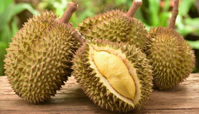 Banyak yang Tidak Suka, Padahal Durian Punya Banyak Manfaat