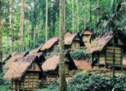 Desa Wisata Suku Baduy: Petualangan Unik di Tengah Keaslian Budaya