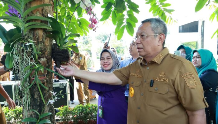 Gerakan Penanaman Pohon Anggrek, Benyamin Davnie: Meningkatkan Kecintaan Lingkungan di Kota Tangsel