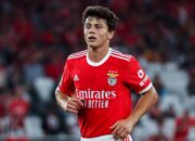 Joao Neves Enggan Teken Kontrak Baru dengan Benfica, Manchester United Full Senyum