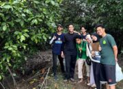 Kreatifitas Mahasiswa UGM, Pasang 12 Lampu Tenaga Surya dan Report Perkembangan Mangrove di Tanara