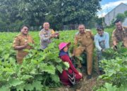 Kunjungan Pj Bupati Jayapura ke Petani Mandiri, Solusi Atasi Inflasi di Kabupaten Jayapura
