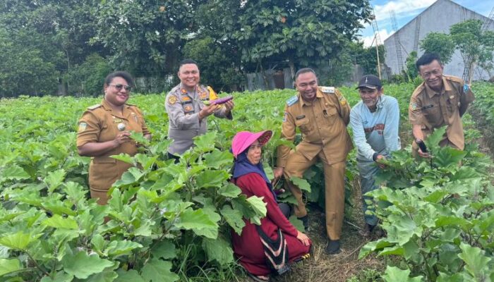 Kunjungan Pj Bupati Jayapura ke Petani Mandiri, Solusi Atasi Inflasi di Kabupaten Jayapura