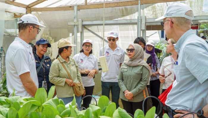 Mengamati Pembangunan Kota Hutan, Dukungan Pemerintah Inggris ke IKN