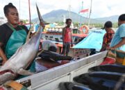 Menhub Budi Karya Sumadi Dorong Ekspor Produk Perikanan Melalui Pelabuhan Bitung: Transformasi Ekonomi Sulawesi Utara