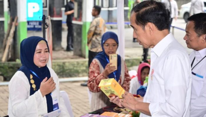 Presiden Jokowi Dorong Penggunaan Keuntungan Program Mekaar untuk Investasi