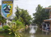 6 Tanggul Jebol, Ribuan Jiwa Terdampak Akibat Banjir Jawa Tengah