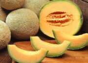 Manfaat Luar Biasa Buah Melon untuk Kesehatan