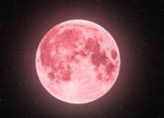 Fenomena Langit Pink Moon Muncul di 24 April 2024