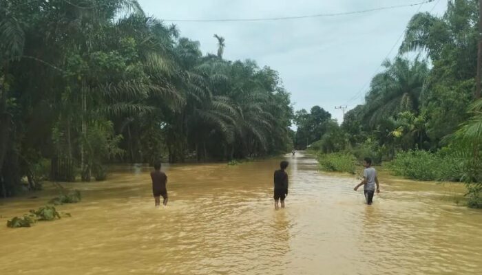 Banjir di Nagan Raya Berangsur Surut, Warga Diminta Tetap Waspada