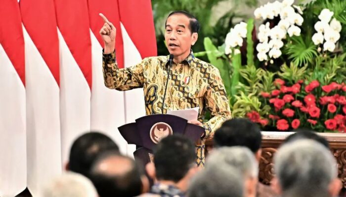 Presiden Jokowi Soroti Peran Penting BPKP dalam Pembangunan