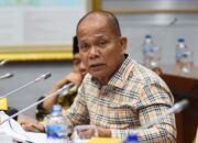 Komisi I DPR RI Minta Platform X Tidak Izinkan Konten Dewasa di Indonesia