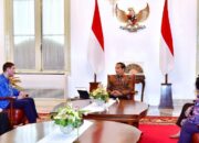 Presiden Jokowi dan Menteri Iklim Norwegia Bahas Kerjasama Atasi Perubahan Iklim