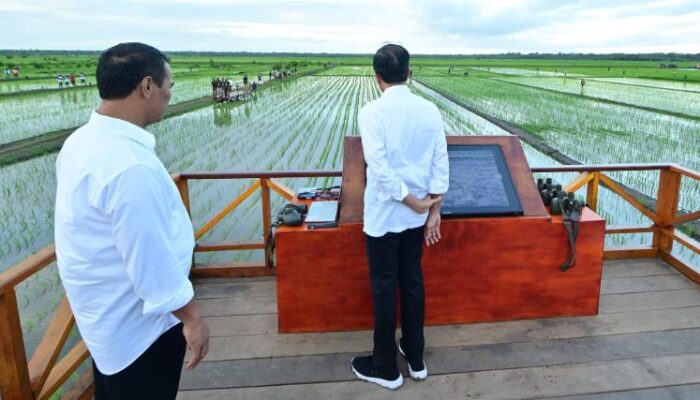 Presiden Jokowi Tinjau Teknologi Drone untuk Pertanian Pintar di Merauke