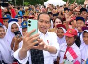 Ini Rencana Kegiatan Presiden Jokowi Selama Berkantor di IKN