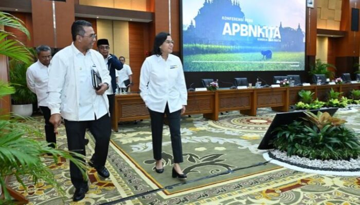 Kinerja APBN 2024: Update dan Analisis Terbaru dari Kemenkeu