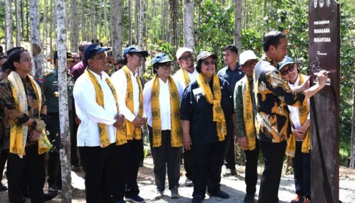 Presiden Jokowi Luncurkan Kawasan Wanagama Nusantara di IKN