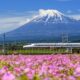 Akses ke Gunung Fuji Dipermudah, Jepang Segera Bangun Jalur Kereta Baru