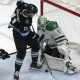 Dallas Stars Kalahkan Utah Hockey Club 2-1, Raih Kemenangan Ketiga Berturut-turut