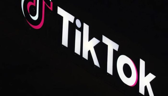 Harga TikTok dan Siapa Yang Bisa Membeli