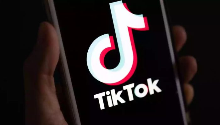 TikTok Kuasai Media Sosial di Indonesia, Catat Transaksi Terbesar